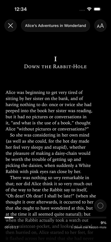 An EPUB open in the publication reader